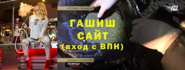гашик Няндома