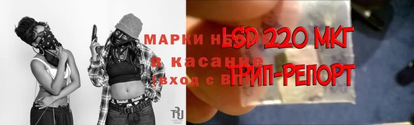 гашик Няндома