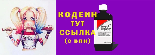 гашик Няндома
