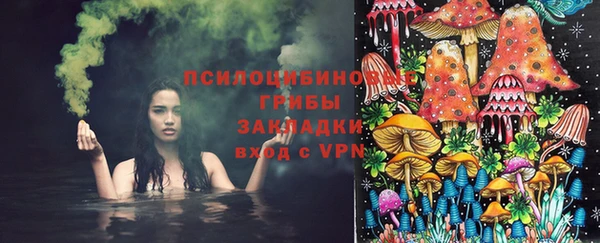 гашик Няндома