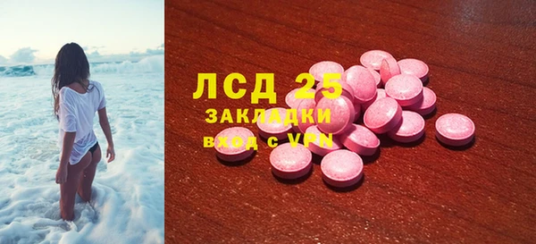 гашик Няндома
