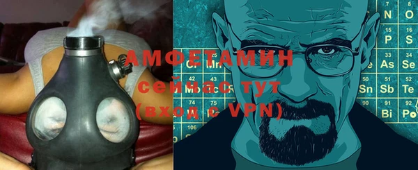 гашик Няндома